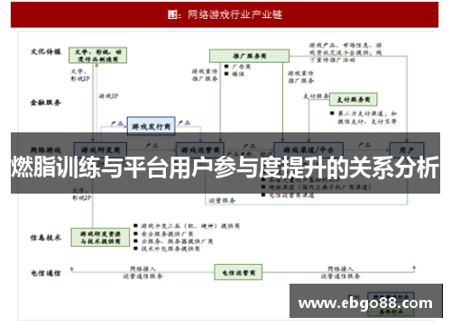 燃脂训练与平台用户参与度提升的关系分析